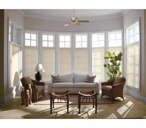 Levolor: 2 Inch Real Wood Blinds